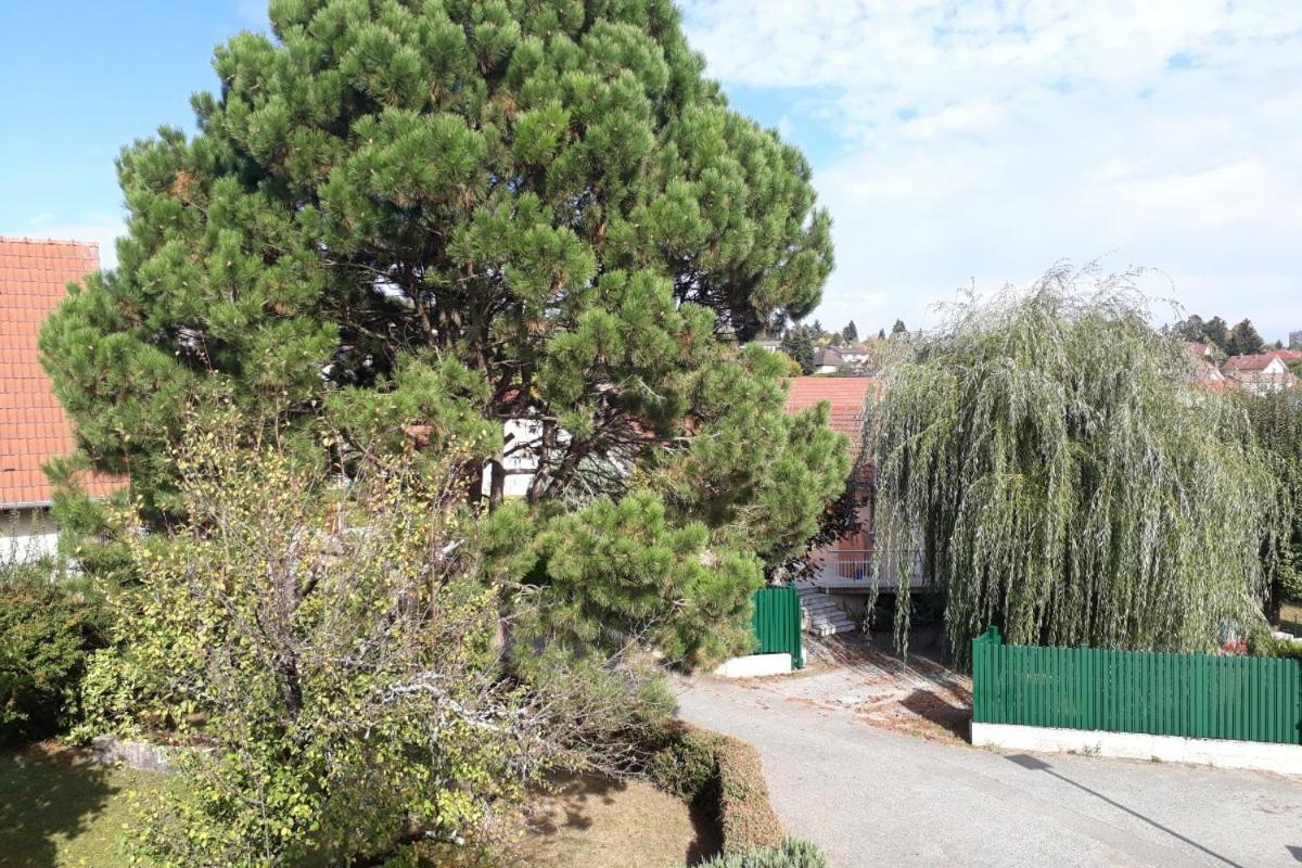Appartement Independant A Proximite De Belfort Essert 外观 照片